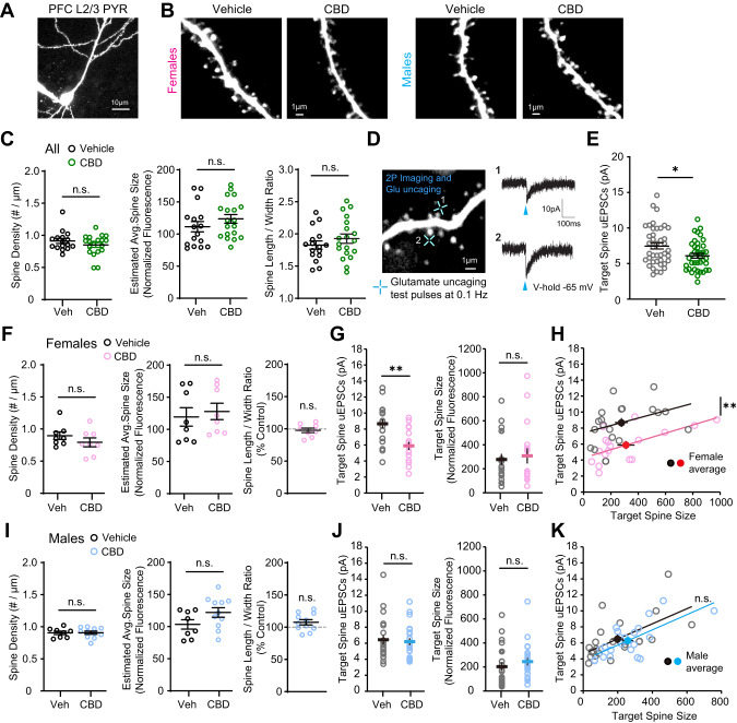 PMC10618089 – Fig5