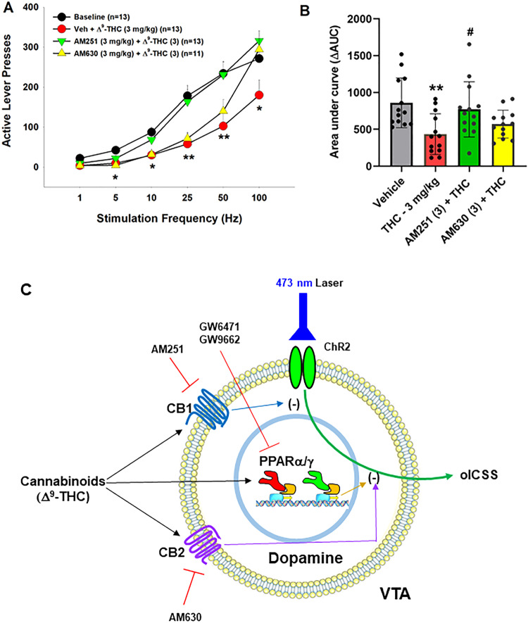 PMC10799974 – Fig3