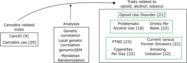 PMC11419938 – Fig1