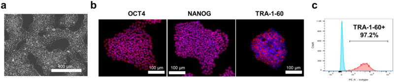 PMC11541203 – Fig2