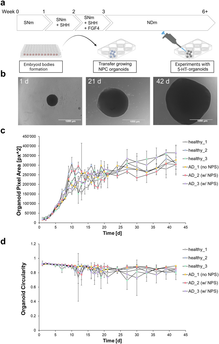 PMC11541203 – Fig3