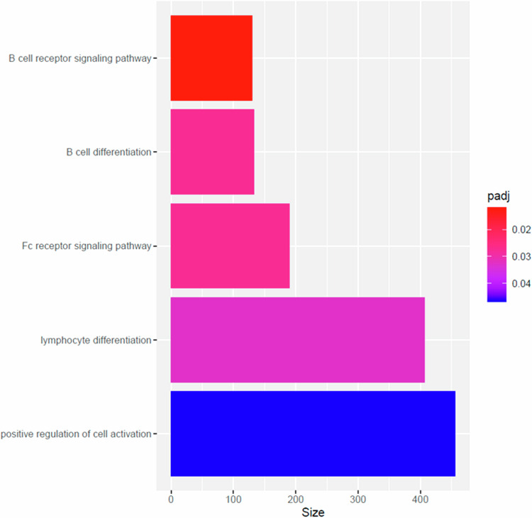 PMC11919776 – Fig2