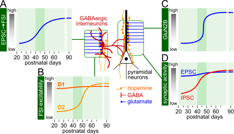 PMC12240843 – Fig2