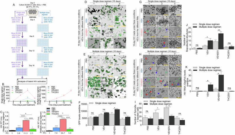 PMC12999493 – Fig3