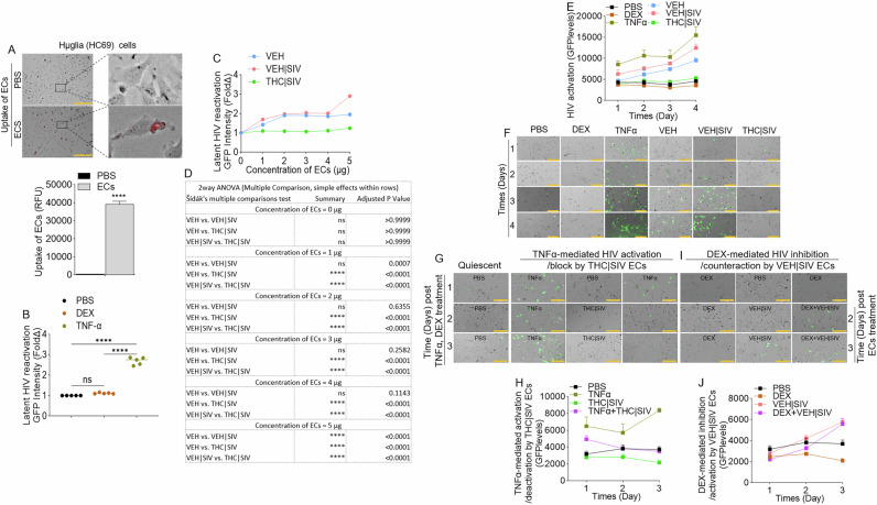 PMC12999493 – Fig4