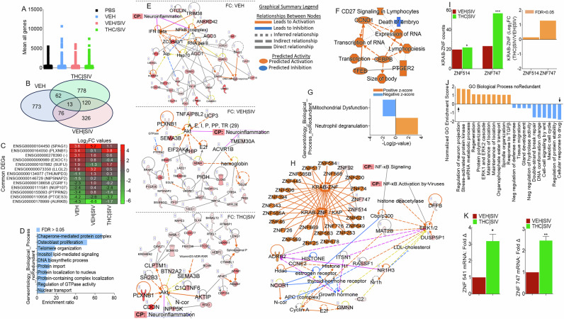 PMC12999493 – Fig5