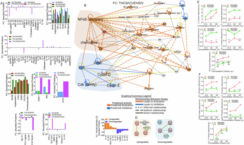 PMC12999493 – Fig6
