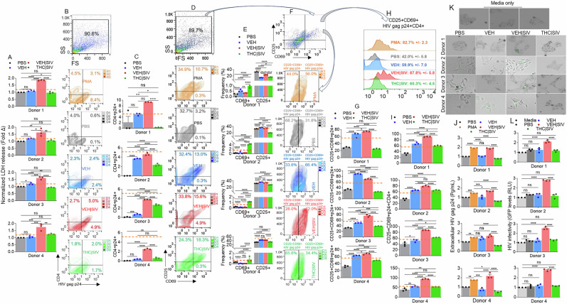 PMC12999493 – Fig7