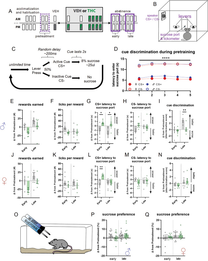 PMC9205922 – Fig4