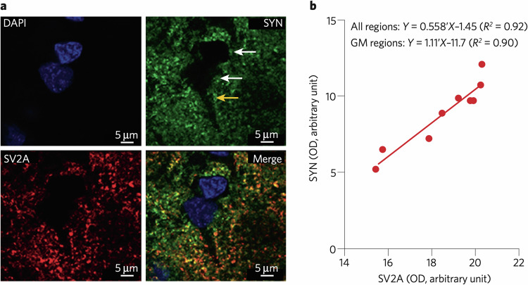 PMC11525650 – Fig2