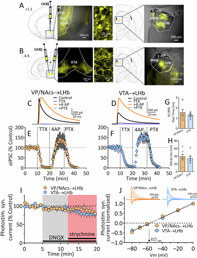 PMC11480124 – Fig2