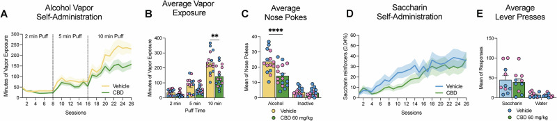 PMC12404032 – Fig4