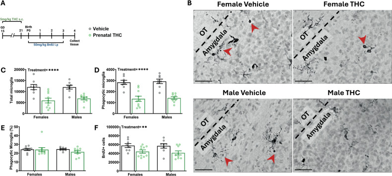 PMC12436615 – Fig4