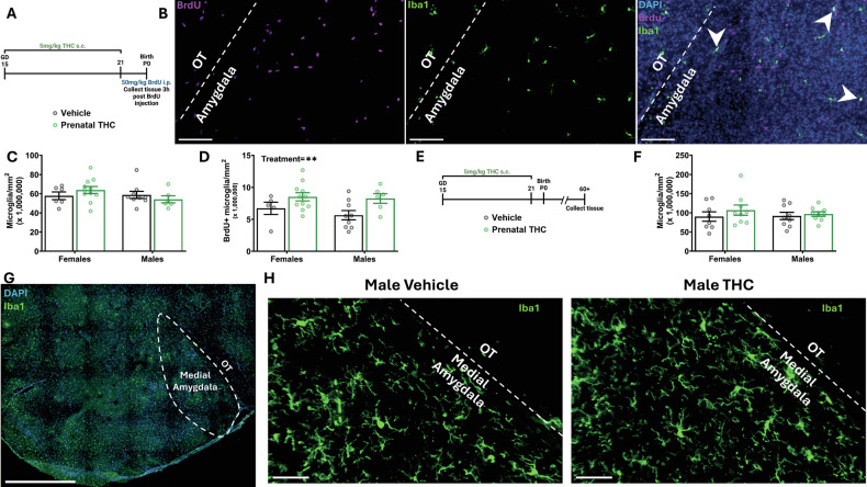 PMC12436615 – Fig5