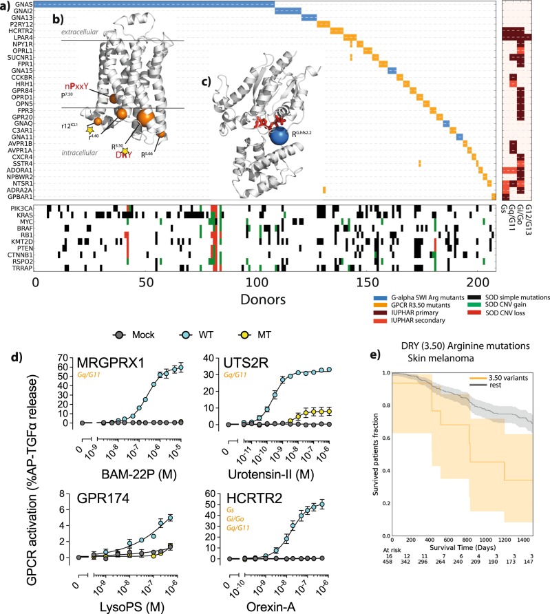 PMC6756116 – Fig3