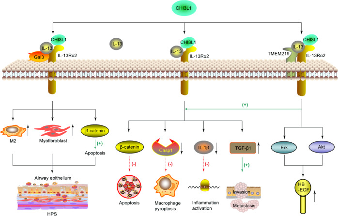 PMC7490424 – Fig2