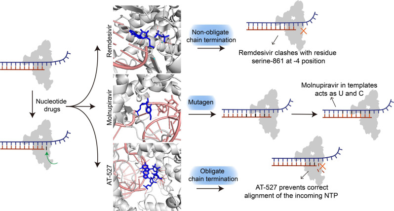 PMC9719906 – Fig3
