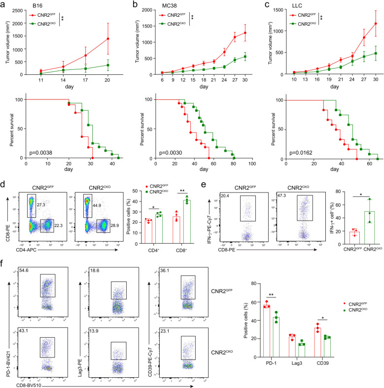 PMC8983672 – Fig4