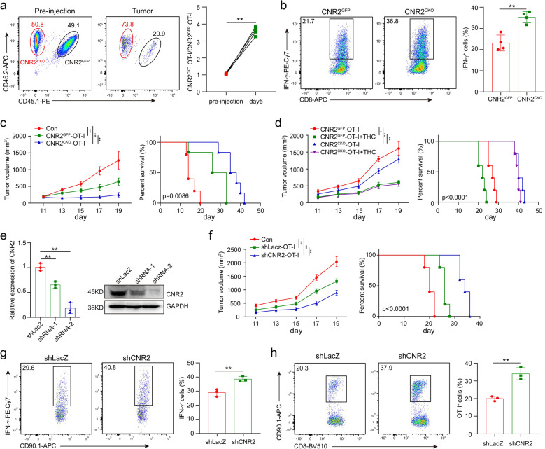 PMC8983672 – Fig5
