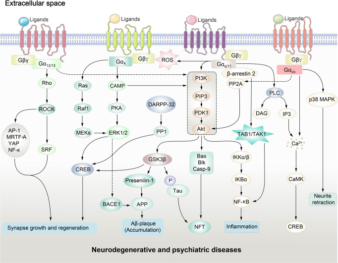 PMC10154768 – Fig2