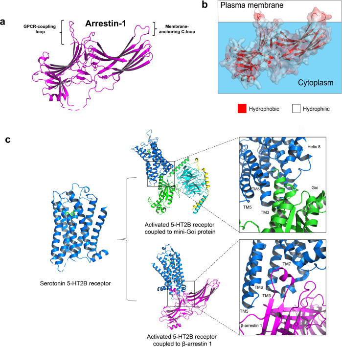 PMC10154768 – Fig3