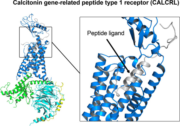PMC10154768 – Fig7