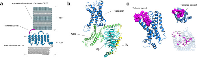 PMC10154768 – Fig8