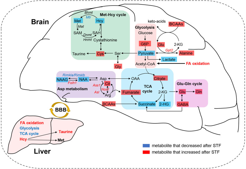 PMC10484938 – Fig7