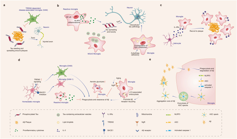 PMC10514343 – Fig1