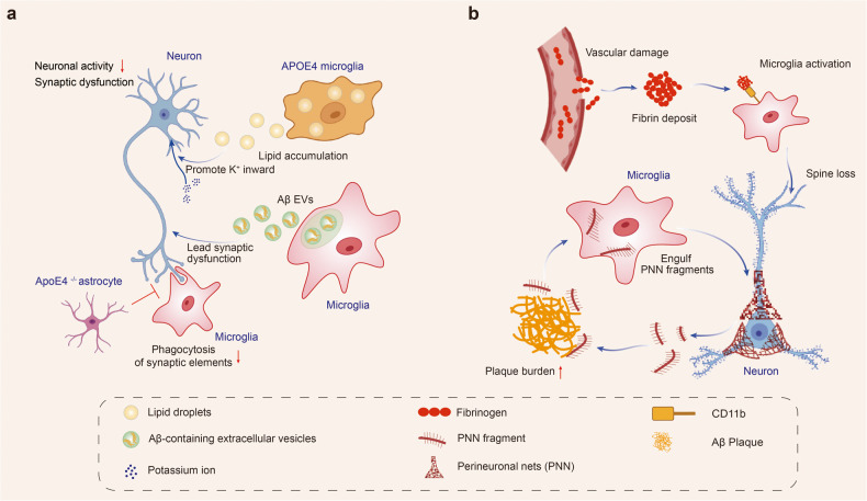 PMC10514343 – Fig2
