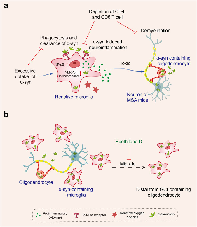 PMC10514343 – Fig4