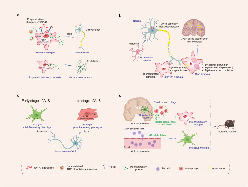 PMC10514343 – Fig5
