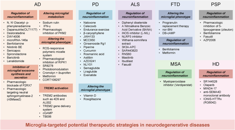 PMC10514343 – Fig6