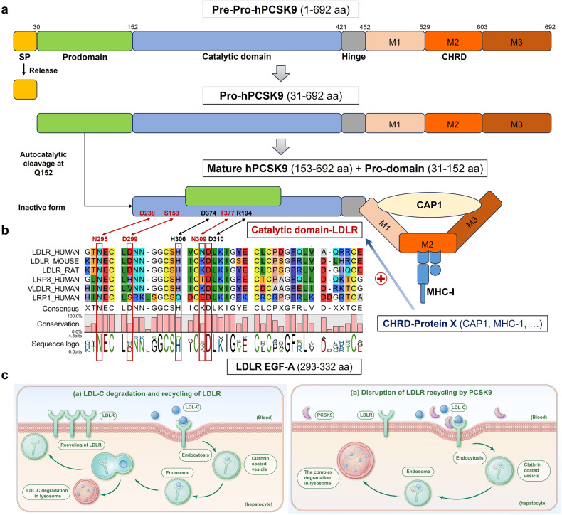 PMC10772138 – Fig1