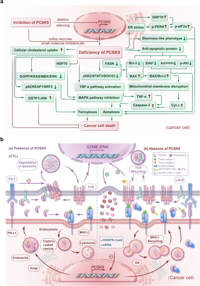 PMC10772138 – Fig3