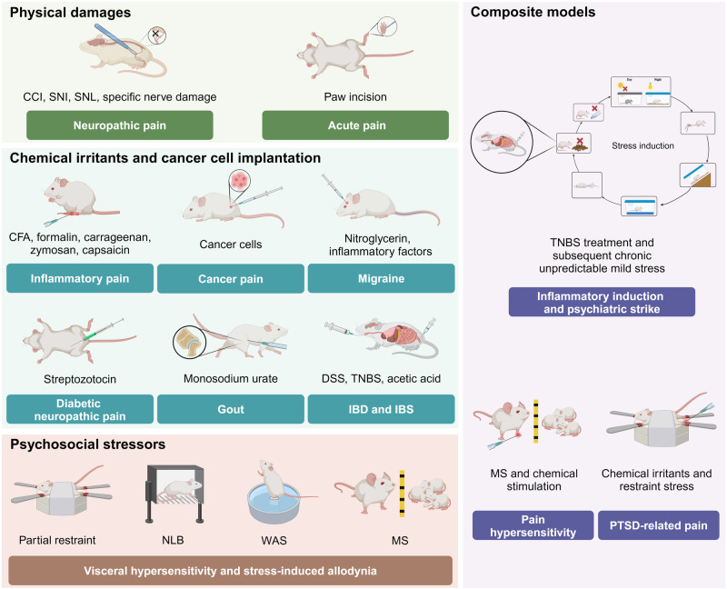 PMC11162504 – Fig2