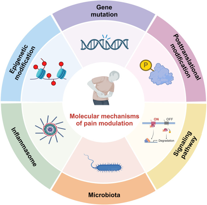 PMC11162504 – Fig4