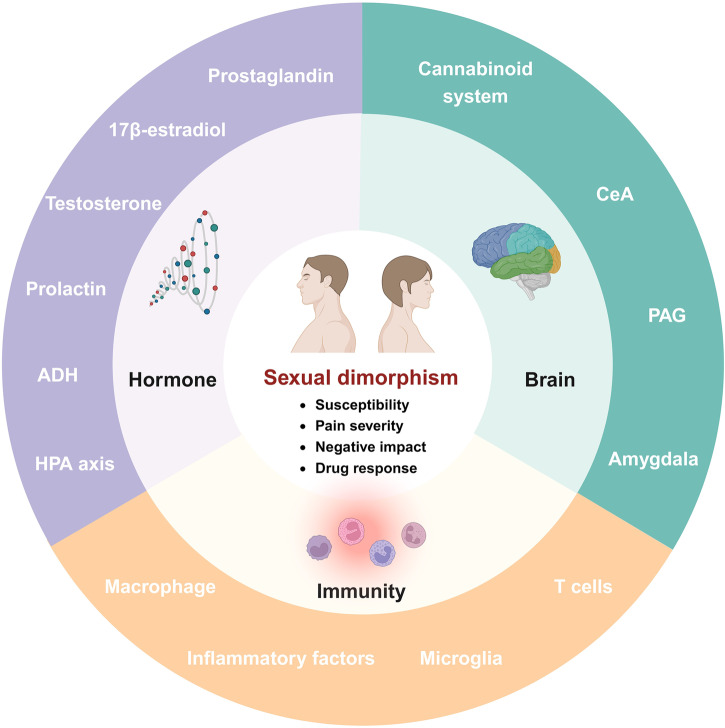 PMC11162504 – Fig8