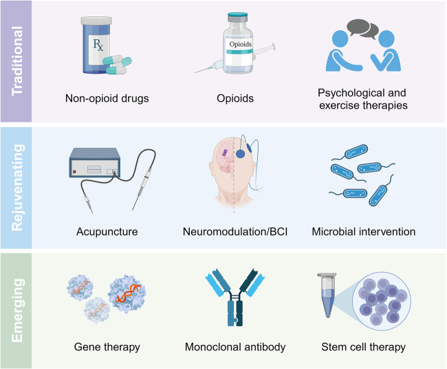PMC11162504 – Fig9