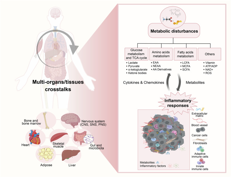 PMC12795897 – Fig3