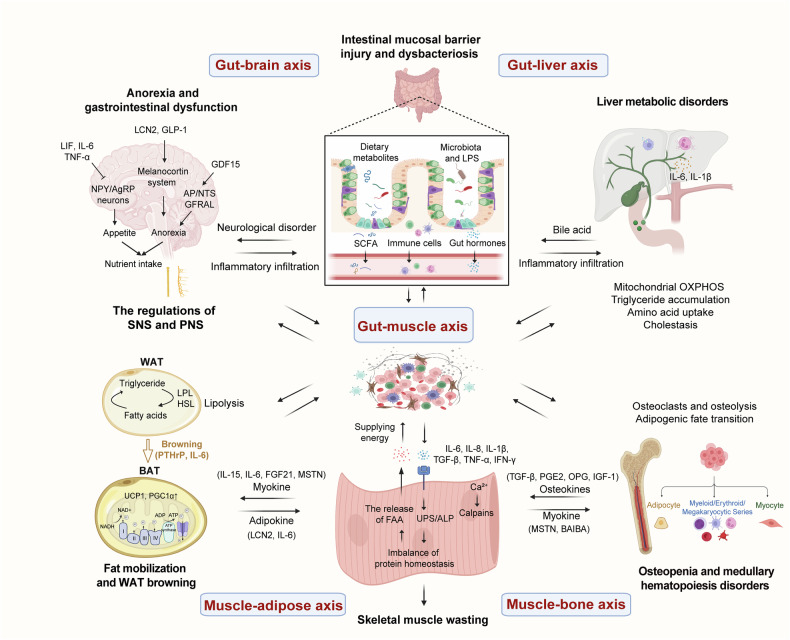PMC12795897 – Fig4
