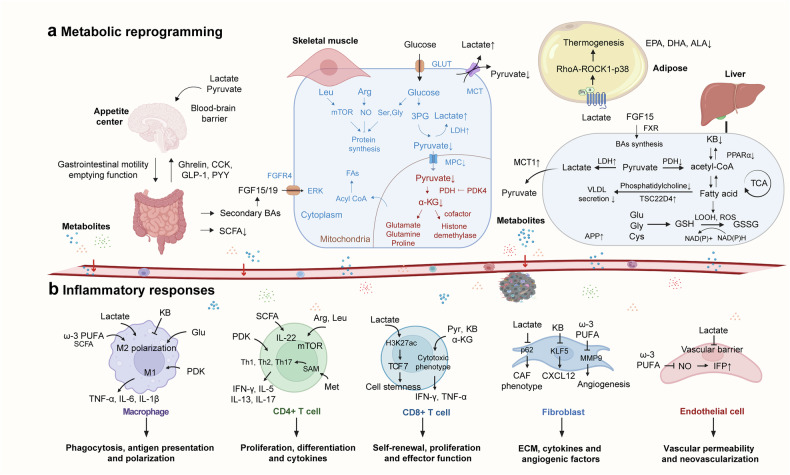 PMC12795897 – Fig5