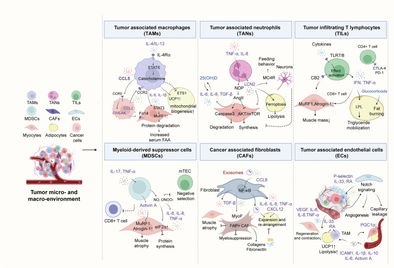 PMC12795897 – Fig6