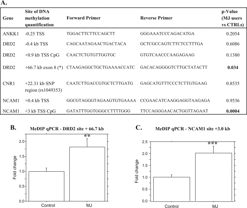PMC5802451 – Fig2