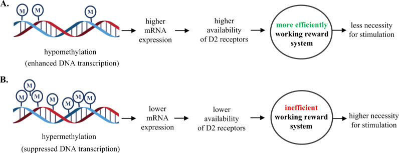 PMC5802451 – Fig3