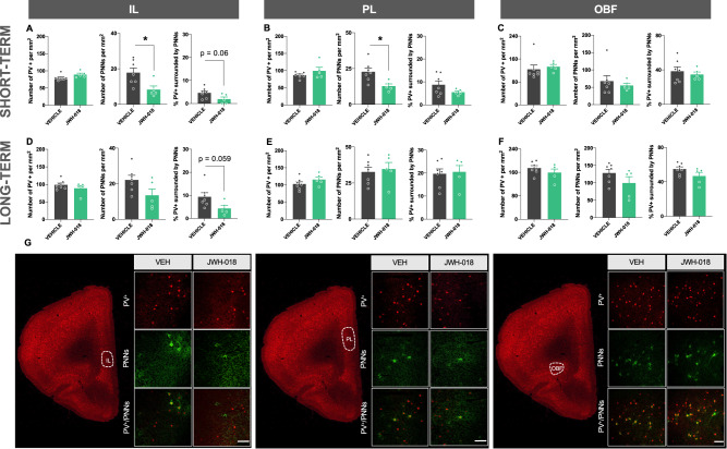 PMC10209055 – Fig4