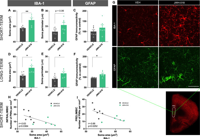 PMC10209055 – Fig5