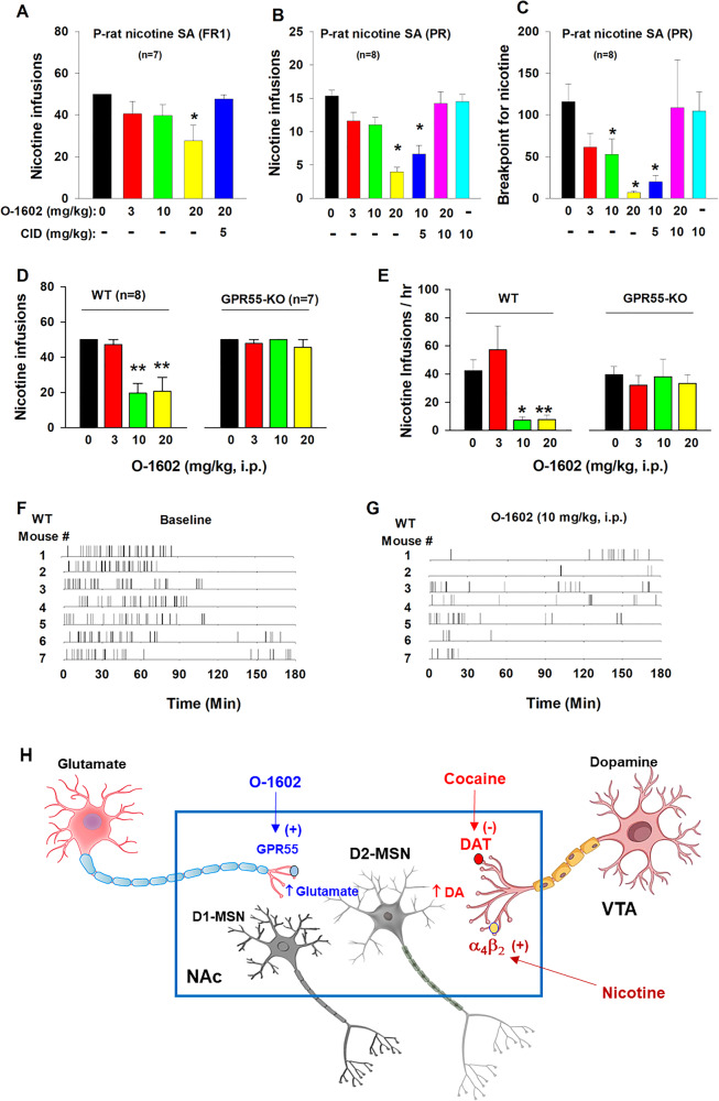 PMC10876975 – Fig6