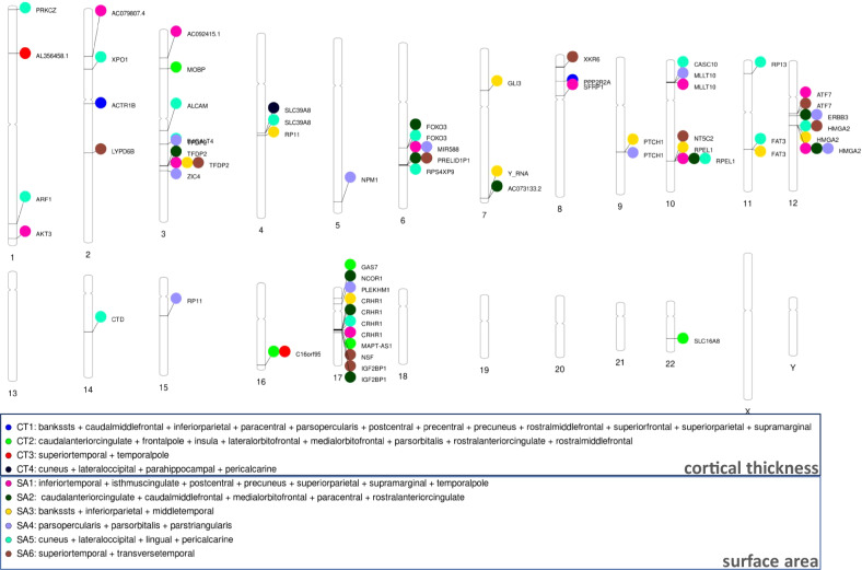 PMC11502831 – Fig6
