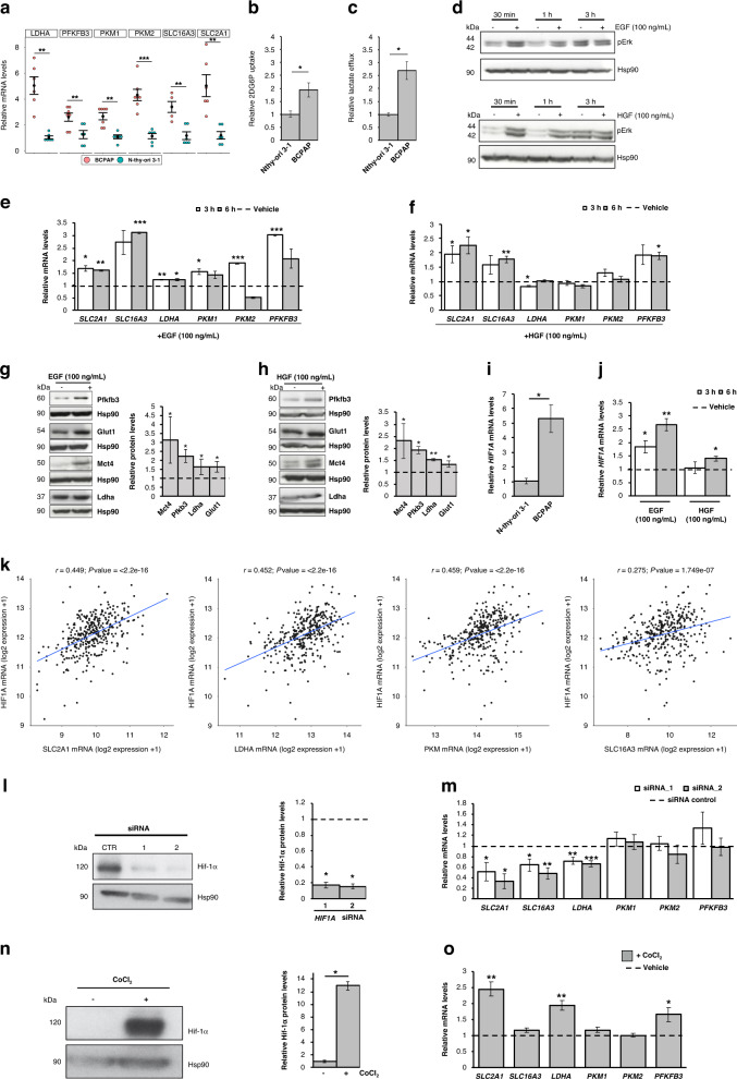 PMC10338540 – Fig4